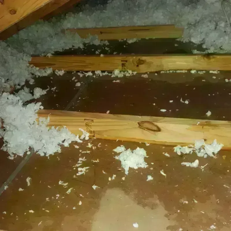 Attic Water Damage in Telluride, CO